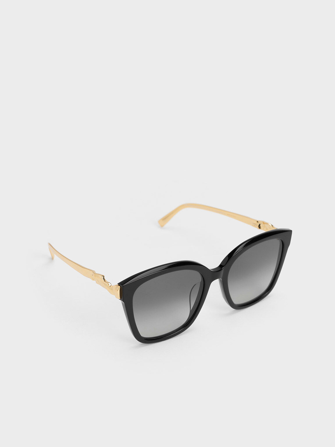 Black Oversized Square Acetate Sunglasses - CHARLES & KEITH SG